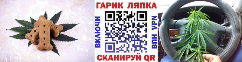 Cannafood конопля  Сыктывкар 