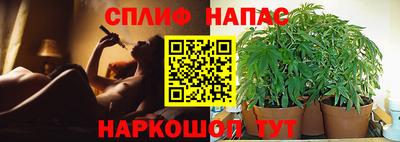 бошки Балашиха