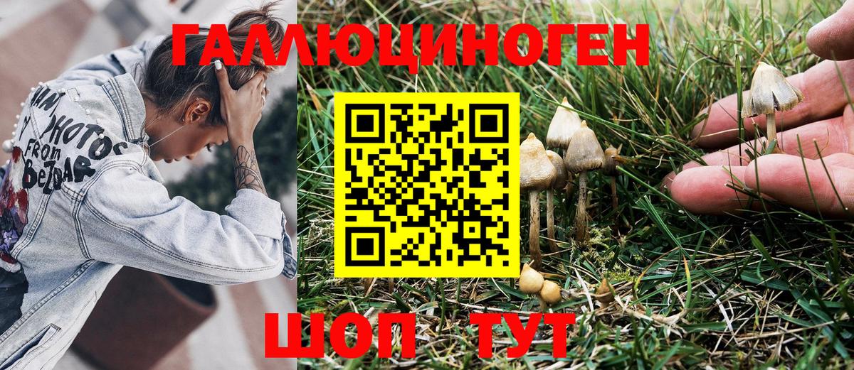 наркотики  Галлюциногенные грибы мицелий  Сыктывкар  Галлюциногенные грибы мухоморы 